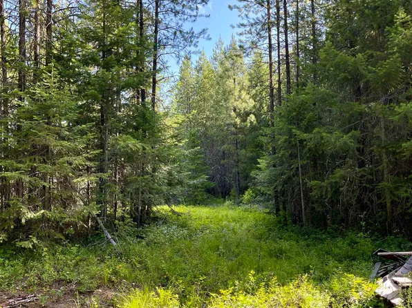 3900 Veit Rd, Newport, WA 99156