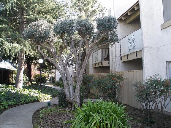 2nd image of 247 N Capitol Ave Unit 207