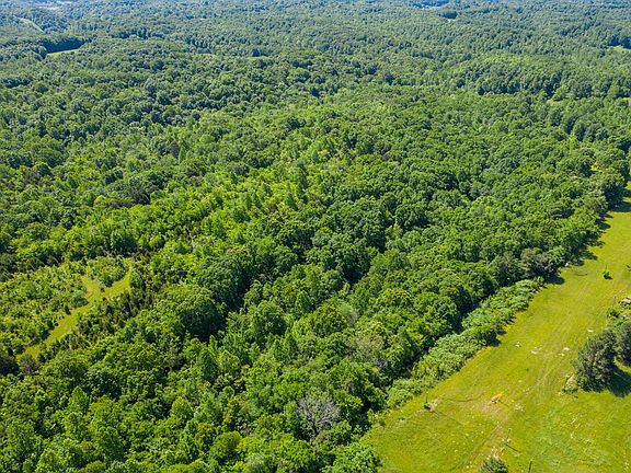3rd image of 5465 Horne Hollow Rd