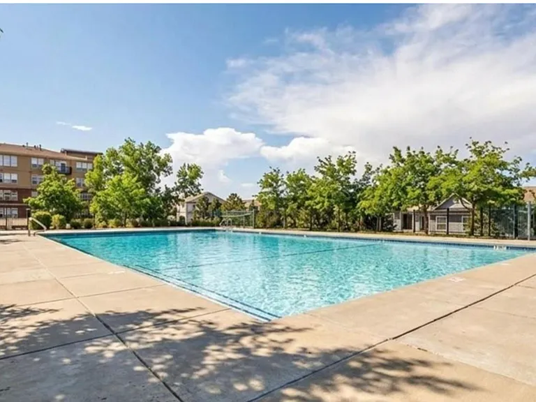 10184 Park Meadows Dr #1317 — Photo 19