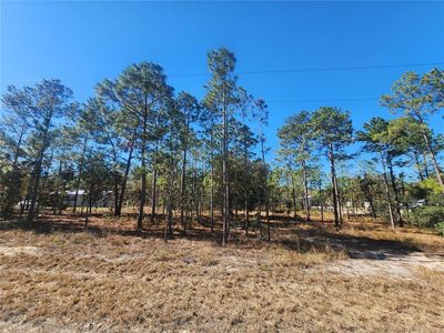 0 SE 144th Ave #3, Williston, FL, 32696