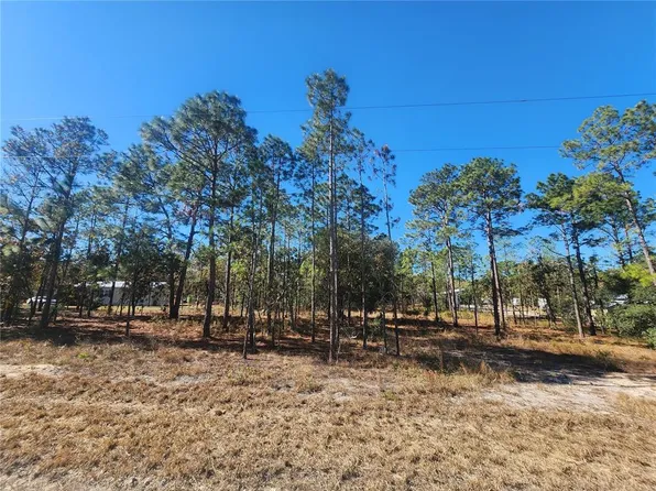 0 SE 144th Ave #3, Williston, FL 32696