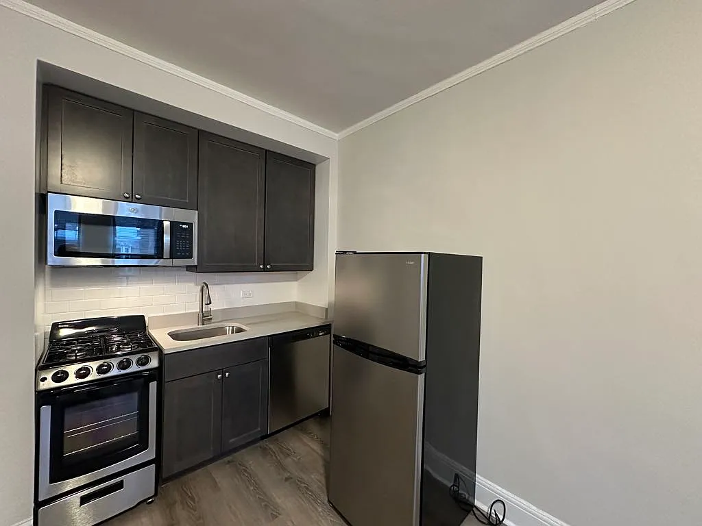 Astounding Studio, 1 Bath at Diversey + Milwaukee (Logan Square) — Photo 2