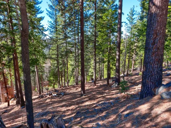 7349 Yosemite Park Way, Yosemite National Park, CA 95389