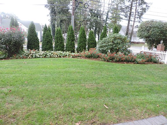 Lawn
