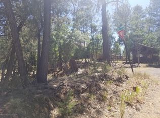 115 Spring Rd, Ruidoso, NM 88345