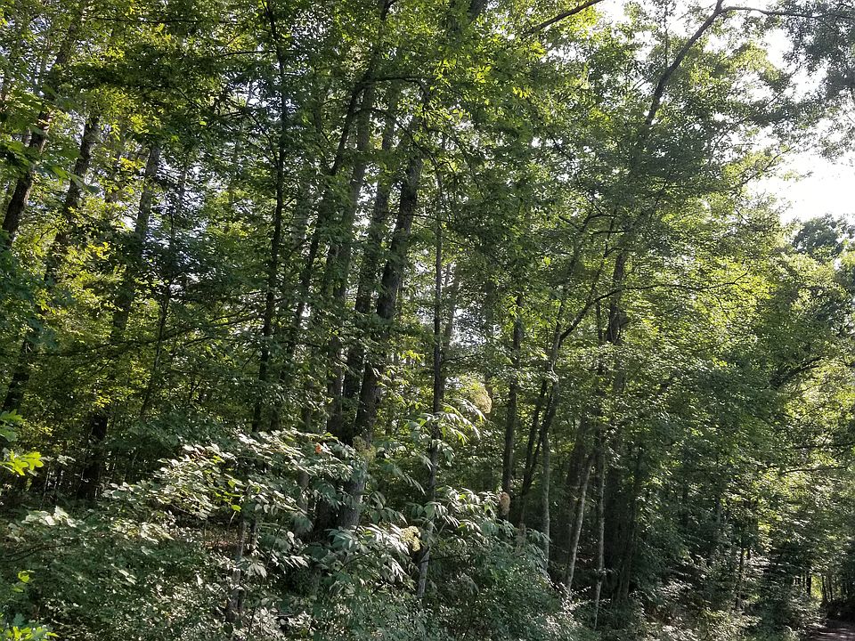 2nd image of Puss Green Rd