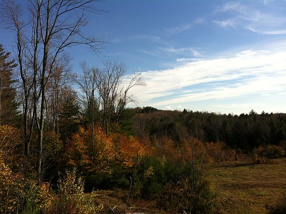 looking east from homesite