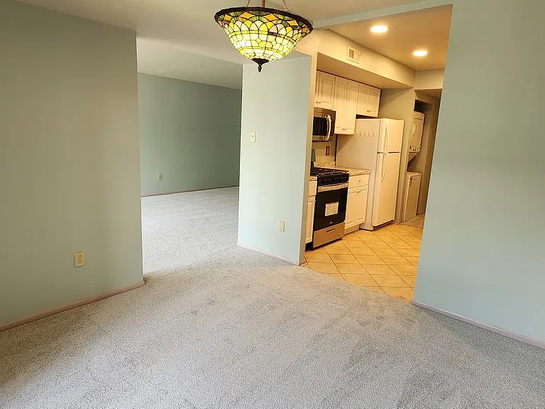 2069 Royal Fern Ct #11B — Photo 14