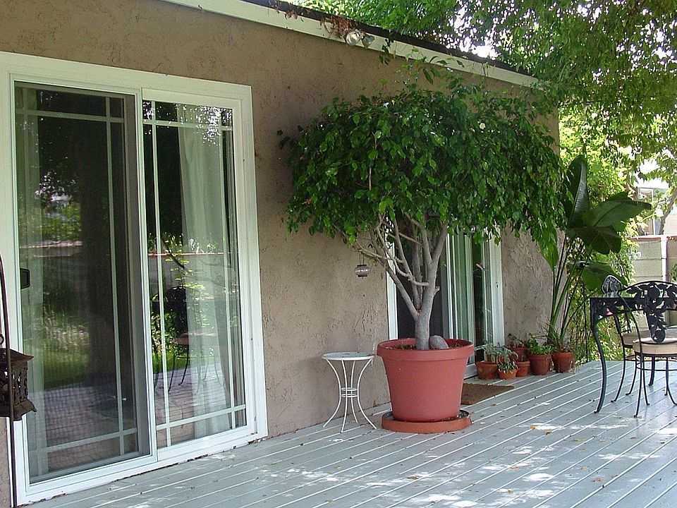 Back yard view