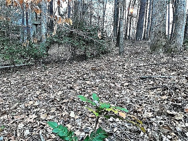 1st image of 15 Turkey Trot