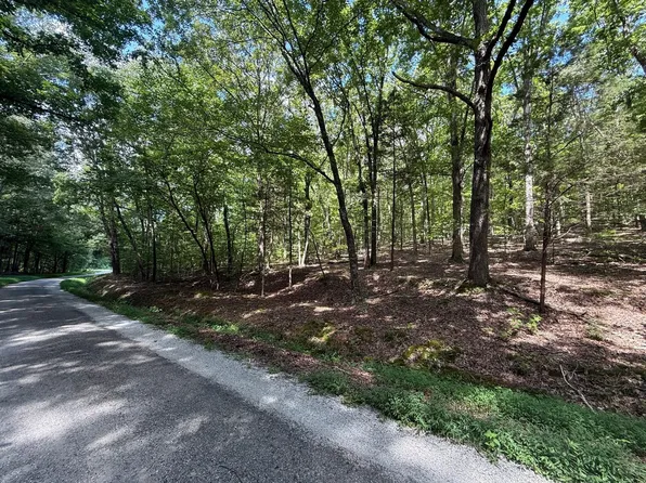 Herndon Cemetery Rd, Big Sandy, TN 38221