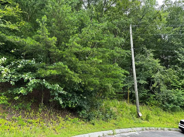 Alvins Ridge Dr, Sevierville, TN 37876