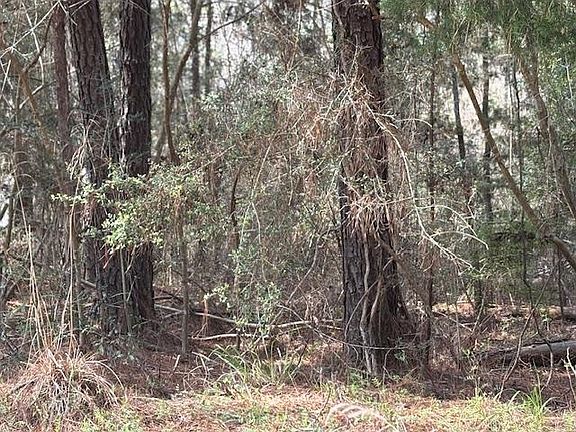 4th image of Conecuh River Church Rd
