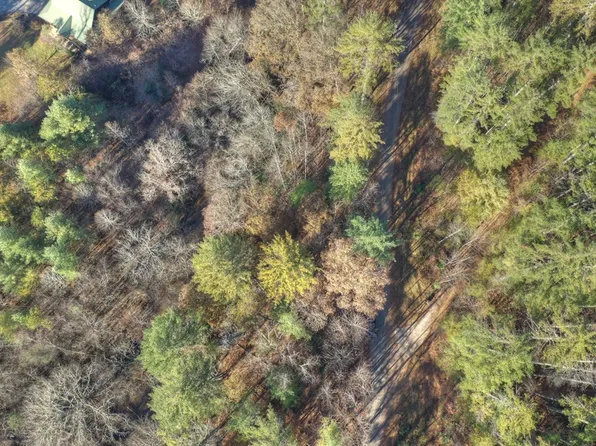 Walkabout Creek Rd, Morganton, GA 30560