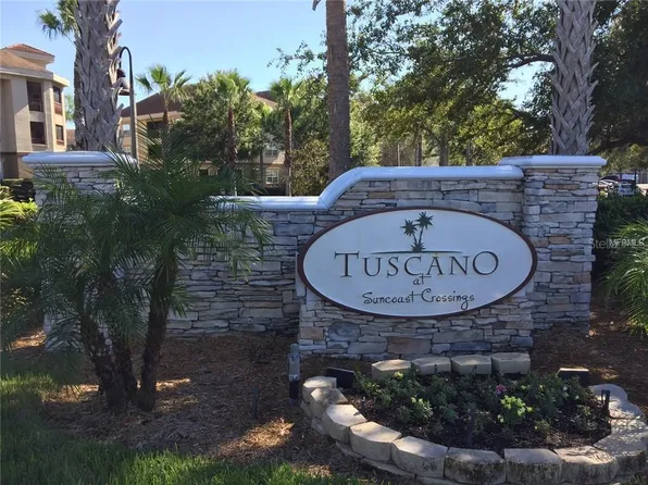 16501 Harper Pond Ln, Odessa, FL