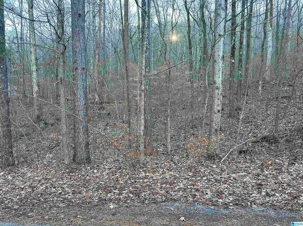 0 Valley Ln #0, Warrior, AL 35180