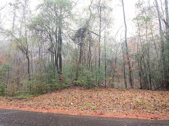 5th image of 1348 County Road 448