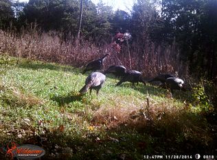 1200 Jarrell Ray Rd, Whitesburg, TN 37891