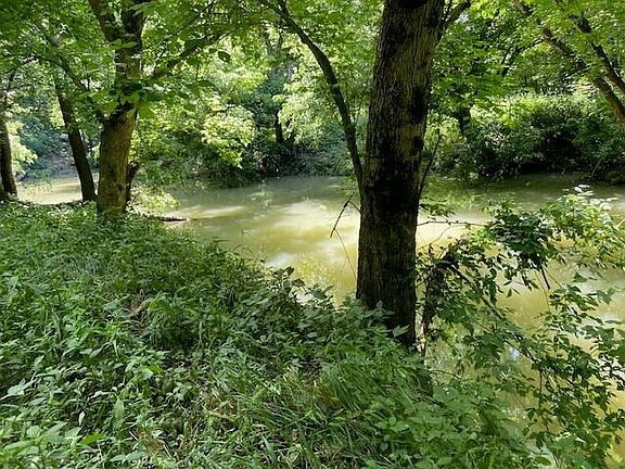 2nd image of 113 Lees Creek Rd