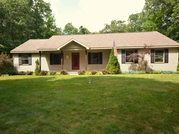 13051 Morgan Mills Ave NE, Gowen, MI 49326