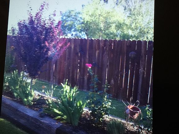 4th image of 9565 Evans Lane