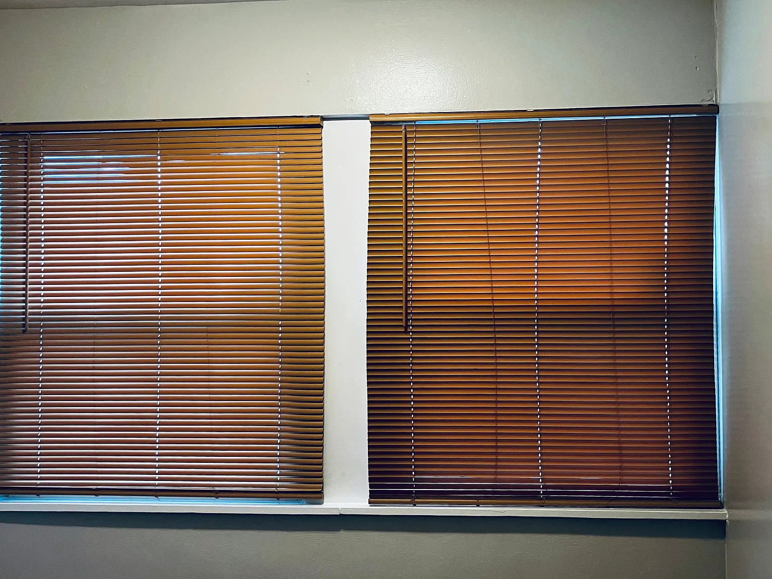 1 bed, 450 sqft, $1,000 — Photo 4