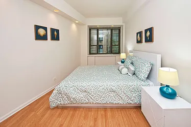 Rented by Manhattan Apartment Organization