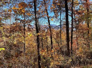36 54C Ash Branch Circle, Hayesville, NC 28904