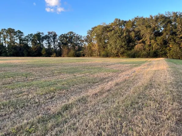 3914 County Road 4408, Brundidge, AL 36010