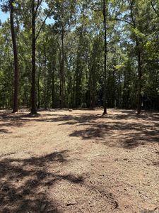 23686 State Highway 442, Independence, LA, 70443