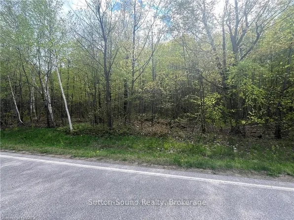 LOT 5 Grey St S #1, The Blue Mountains, ON N0H 2P0