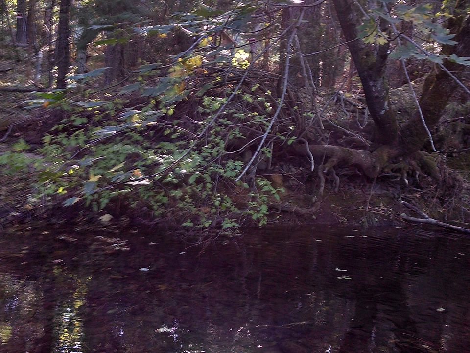 year round concow creek
