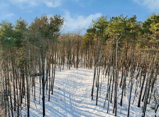 3669 Buttrick Ave SE, Ada, MI 49301