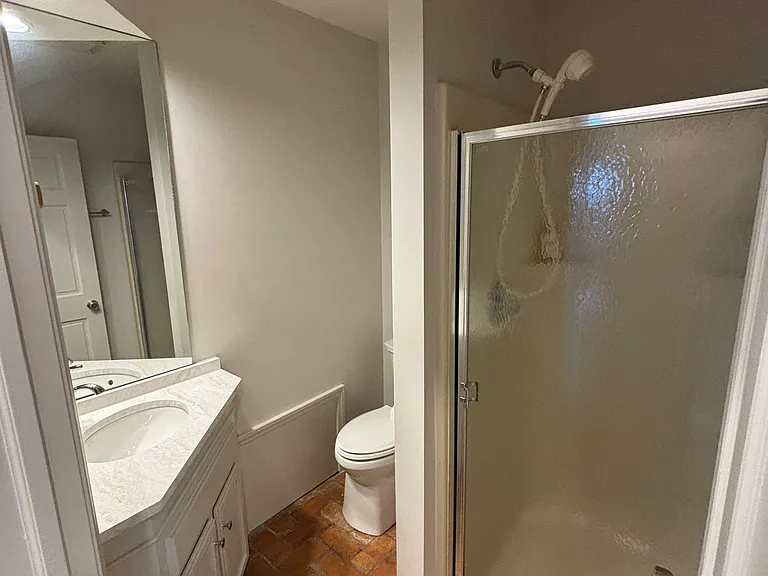 Lower level bathroom