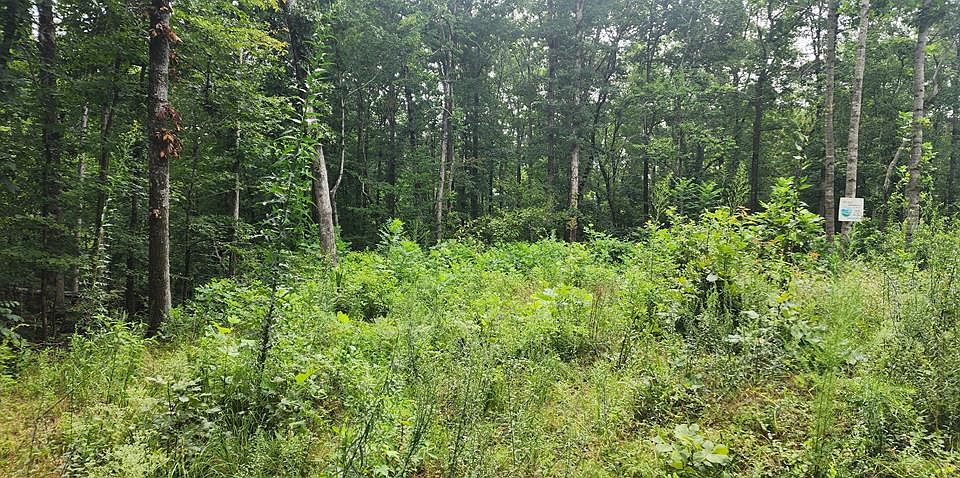 1st image of 617 Red Ash Rd