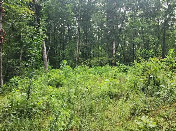 617 Red Ash Rd, Sugar Tree, TN 38380