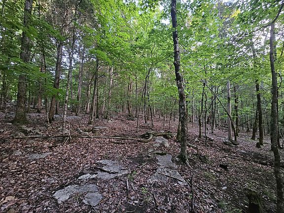 4th image of 3 Sewanee Summit Rd Lot 2 & 3