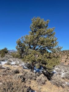 4850 Akers, Fort Garland, CO, 81133