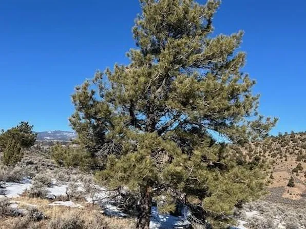 4850 Akers, Fort Garland, CO 81133