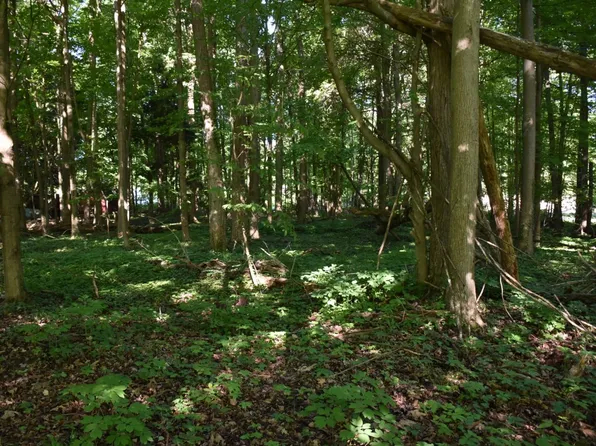 Lots 226 227 Edgewood Dr, Linesville, PA 16424