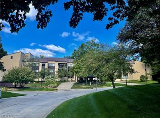 1008 Bunker Dr APT 104, Fairlawn, OH 44333