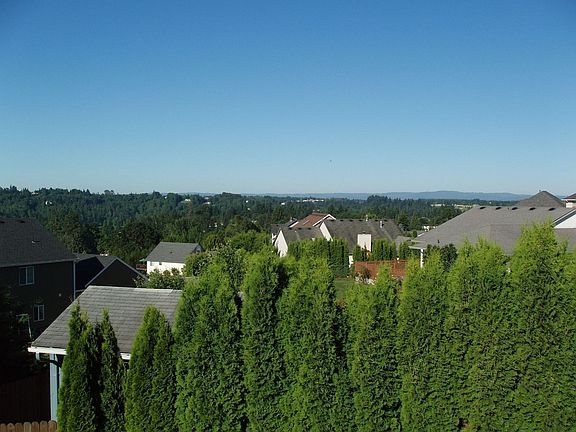 View From Deck