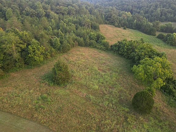 15th image of 597 Lost Hollow Rd