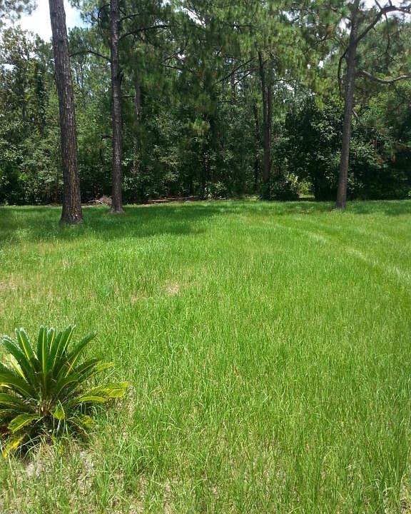 2nd image of 12175 Plummer Grant Rd