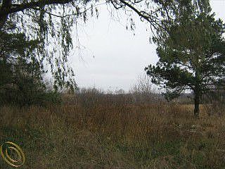 2nd image of 10091 Henderson Rd