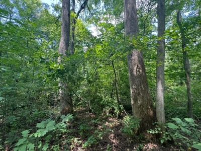 0 State Highway 70, Bremen, KY, 42325