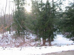 0 Smith Mountain Rd, Lake Luzerne, NY 12846