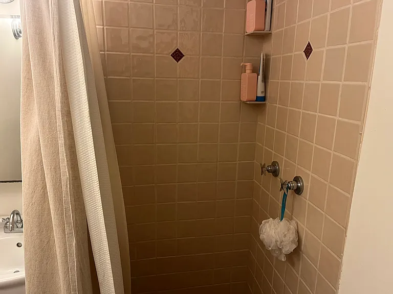 2595 Buena Vista Way #C — Photo 16