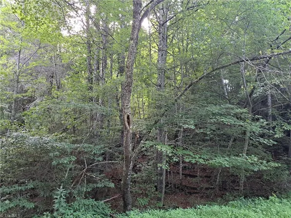 0 Homestead Rd, Hillsville, VA 24343